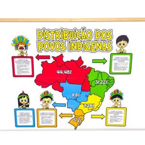 Painel Distribuição dos Povos Indígenas no Brasil para impressão